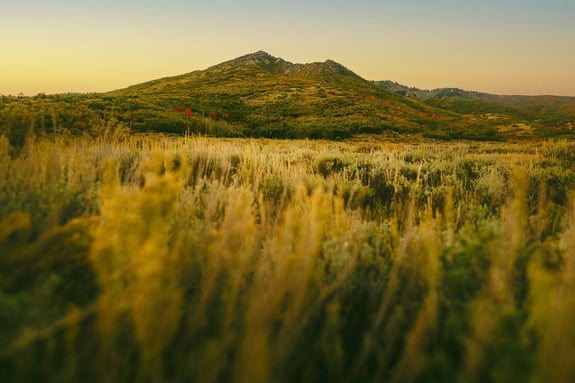 andy-bodemer-iMxjGJ2pUT4-unsplash-1